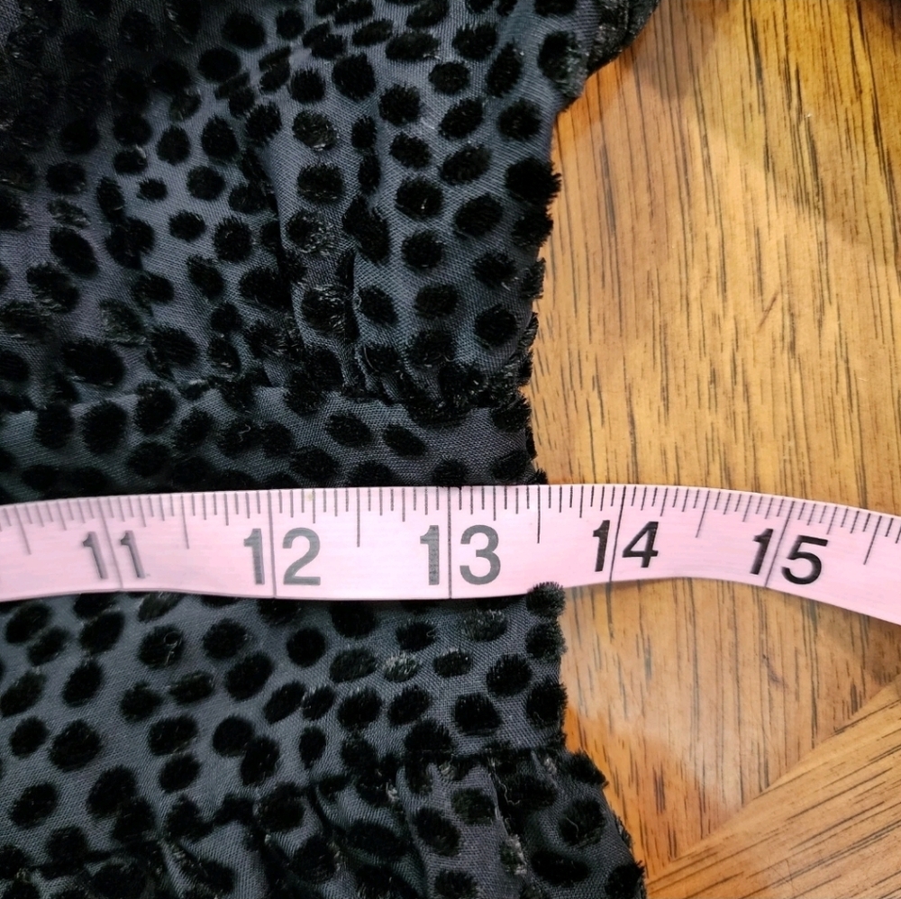 Express • Black Velvet Polka Dot Dress - Picture 11 of 12